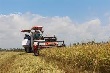 Đầu tư vào nông nghiệp: trông chờ doanh nghiệp nội
